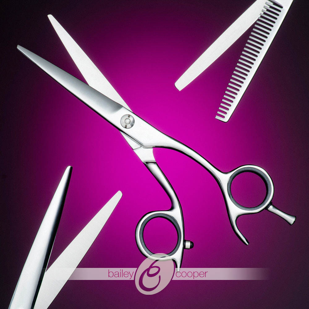 Shears, product photograph